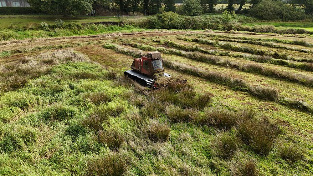 Bewässerung des Moors